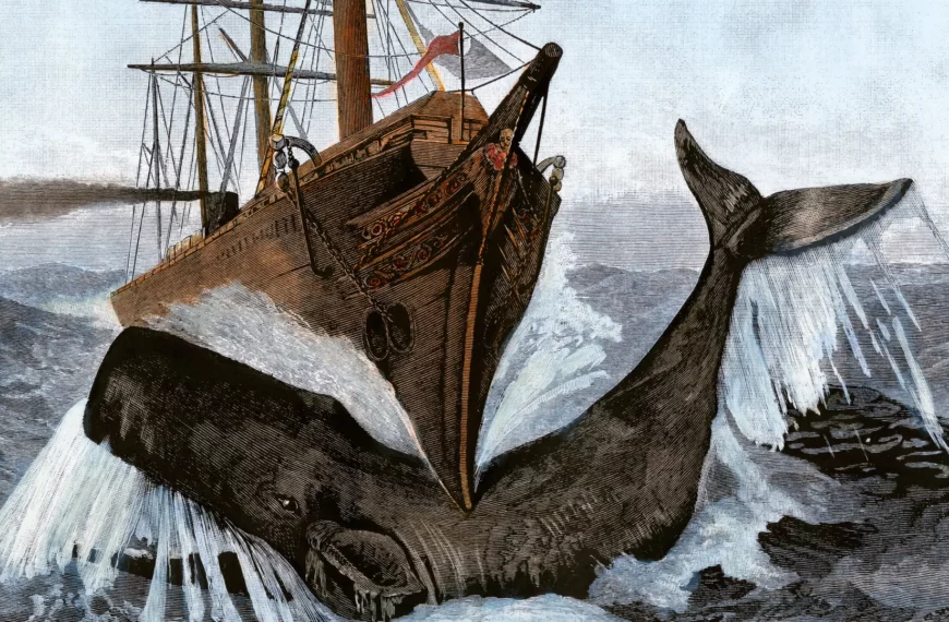 Die Charakterisierung von Captain Ahab in Moby Dick: Eine Untersuchung seines tragischen Schicksals